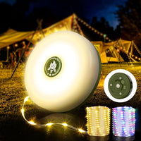 4-in-1 Camping String Lights