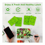 Multicolor Large(4 PACK)